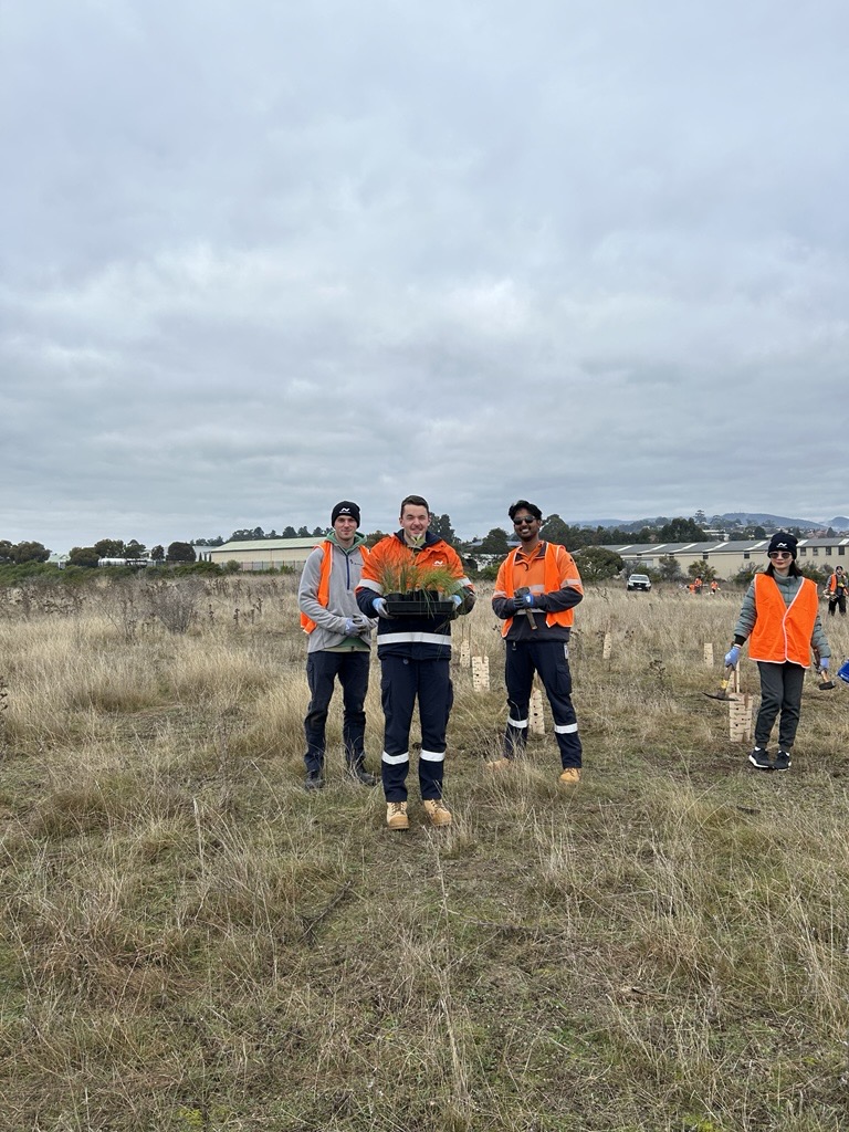 Tree planting volunteering day